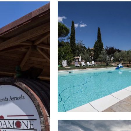 Villa Le Stanze Di Zelinda Suvereto Exterior foto